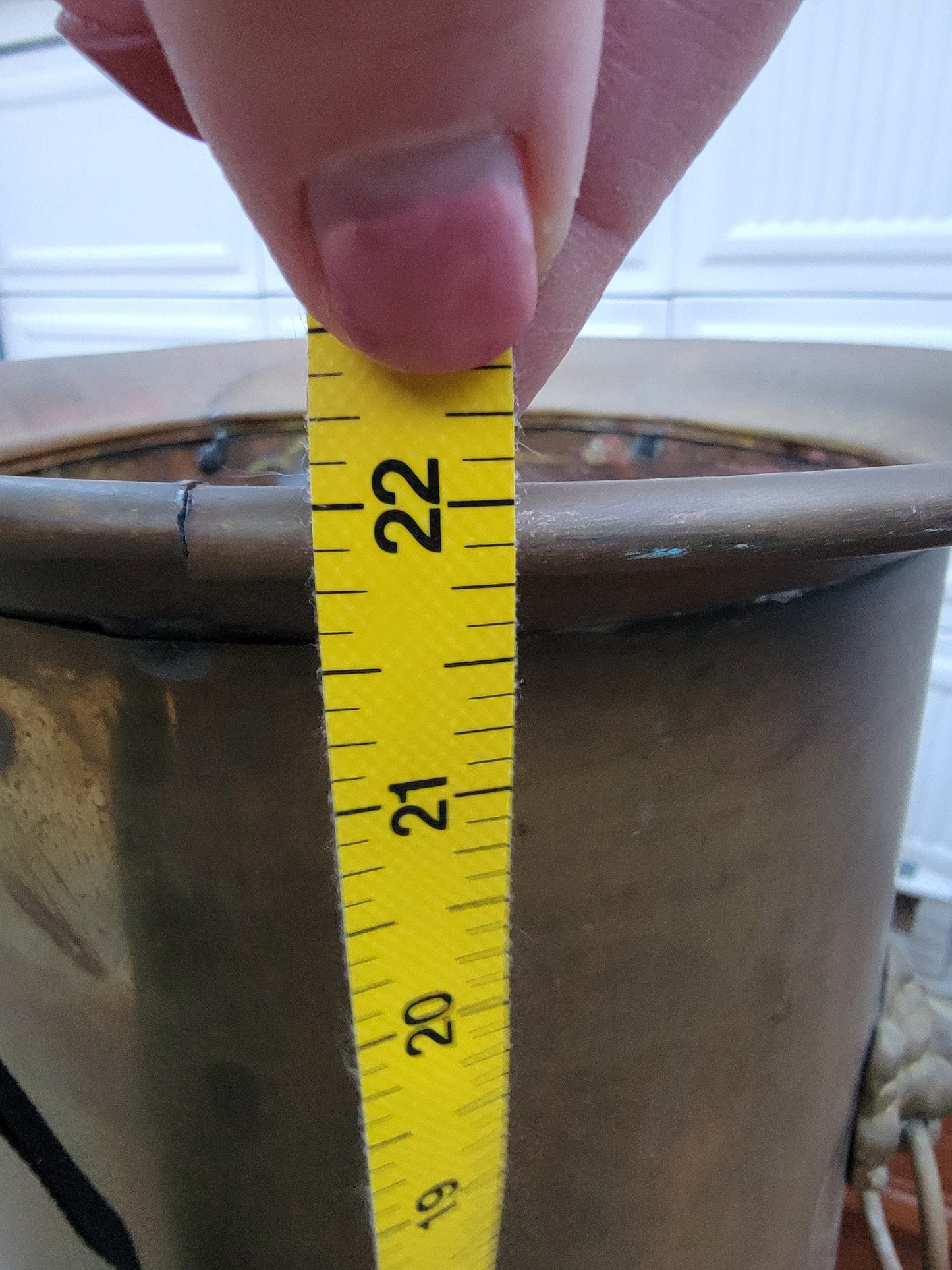 Vintage Hollywood Regency Solid Brass Lion's Head Umbrella Stand | Brass Cane Stand | Solid Brass Lion Head Handle Accent Pulls Furnishing