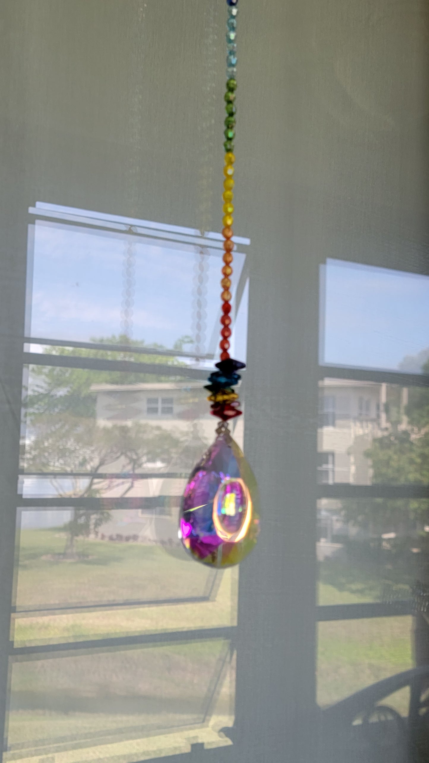 Horse Eye Crystal Rainbow Sun Catcher