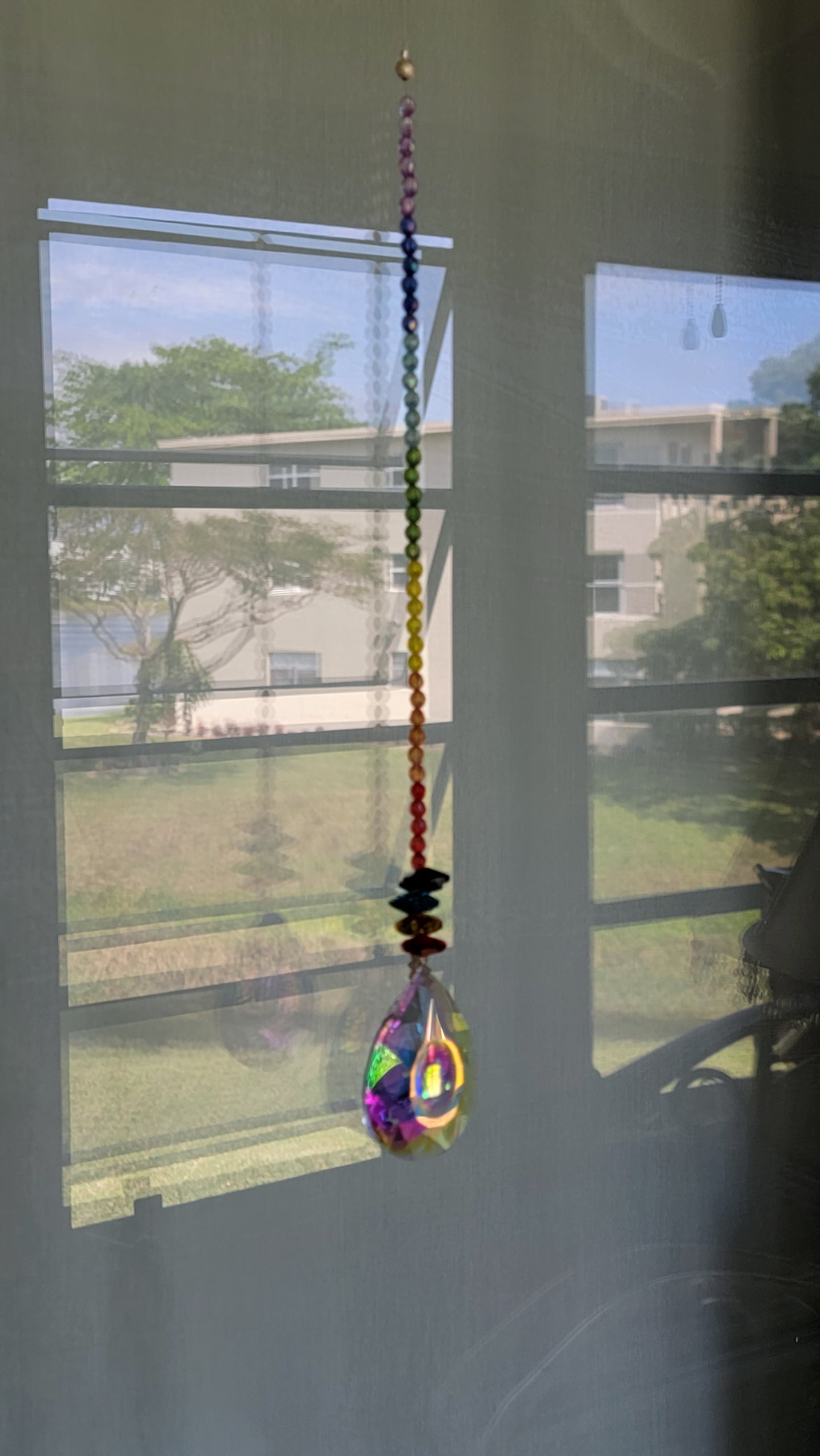 Horse Eye Crystal Rainbow Sun Catcher