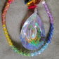 Horse Eye Crystal Rainbow Sun Catcher