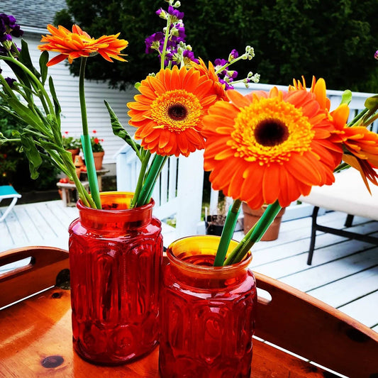 Vintage Red Glass Moon & Stars Canister Set Red Glass Canister Set (No Cover) Moon and Stars Made by Smith Glass 1970s Red Canisters 2 Piece