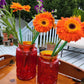 Vintage Red Glass Moon & Stars Canister Set Red Glass Canister Set (No Cover) Moon and Stars Made by Smith Glass 1970s Red Canisters 2 Piece