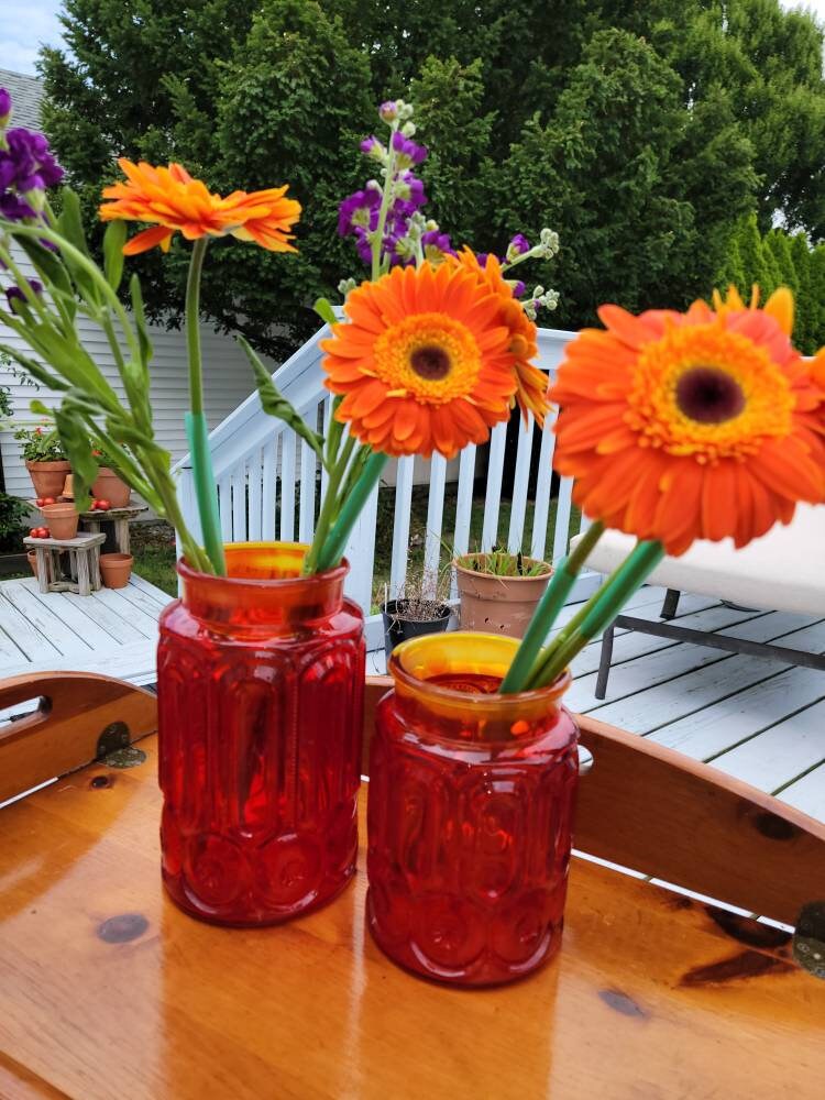 Vintage Red Moon & Star Glass Kitchen Canister Set